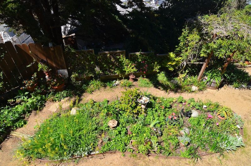 back yard garden